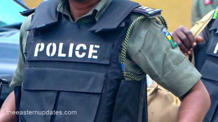 Gunmen Kill 2 Police Officers, Abduct Catholic Priest In Imo