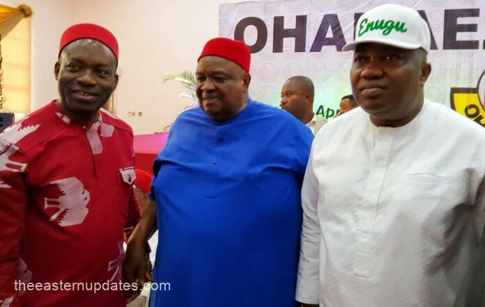 Igbo Leaders Adopt Iwuanyanwu As Ohanaeze President
