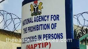 NAPTIP Offer Free Medical Services To 60 Trafficking Victims