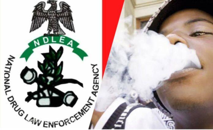 NDLEA Cries Out Over High Rate Of Drug Abuse In Abia