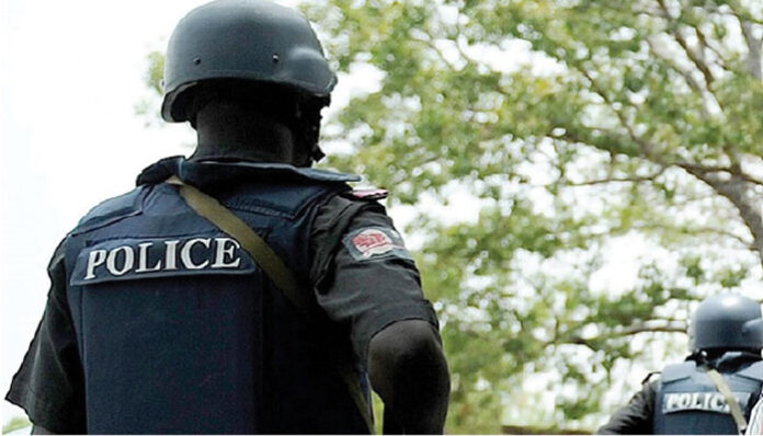 Police Apprehend 11 For Rape Within A Week In Anambra