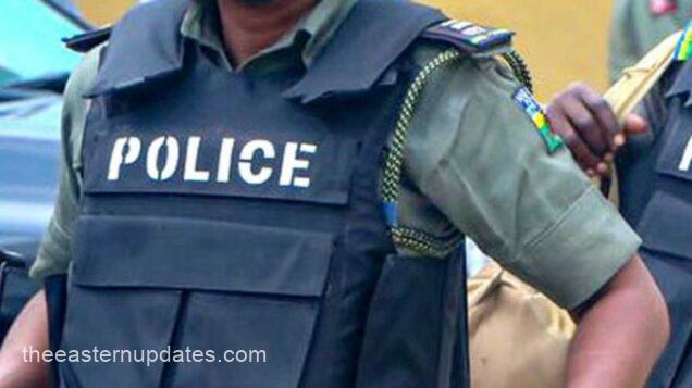 Criminal Duo Nabbed By Police In Imo, 1 Suspect Dead
