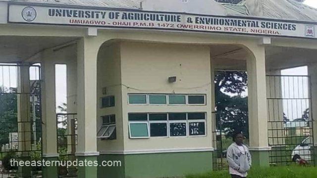 Agric University Declares War On Food Crisis In Imo