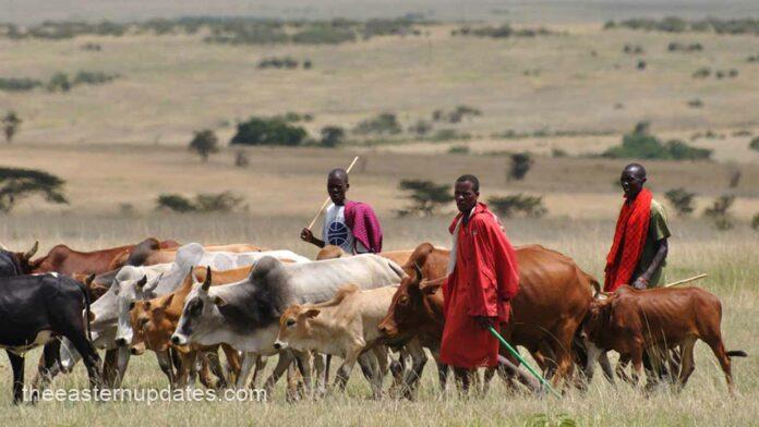 Panic As Suspected Gunmen Kill Herdsman, 15 Cows In Anambra