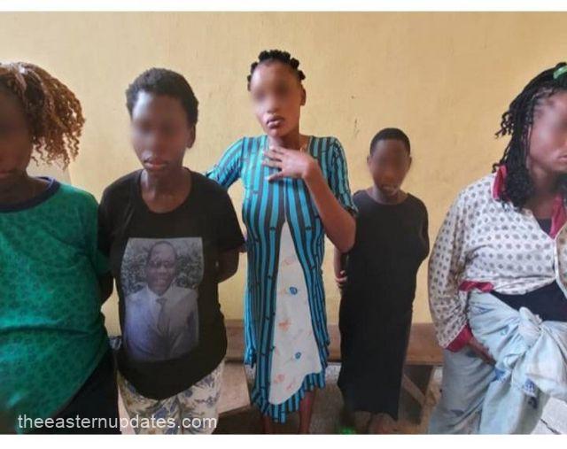 NDLEA Rescues 5 Pregnant Teenagers From Baby Factory In Imo