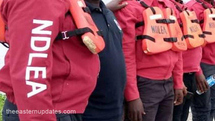 NDLEA Secures Conviction Of 160 Drug Traffickers In Anambra