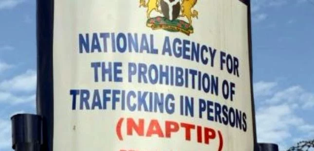 We Rescued 44 Trafficked Victims In Anambra In 2023 – NAPTIP