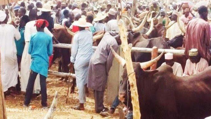 Cattle Dealers Drag Abia Govt To Court Over Plans On Market