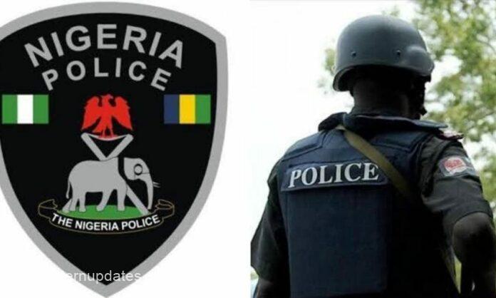 Imo Police Arrest Robbery Suspect, Recover Ammunition