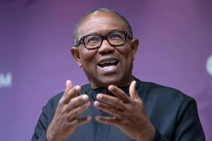 Why I Didn’t Build New Schools As Governor – Peter Obi