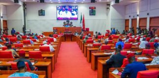 Senate Passes State Police Bill, Govs To Appoint Commissioners Senate Passes State Police Bill, Govs To Appoint Commissioners