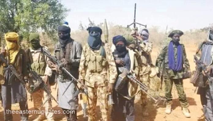 Turji’s Whereabouts Unknown, Top Commanders Killed – NAF