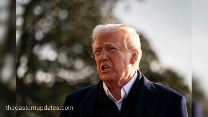 Trump’s Deportation Drive: Nigerians In US Flee Underground