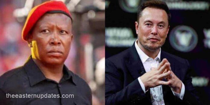 Elon Musk Blasts South Africa’s Malema Over ‘Genocidal’ Comment