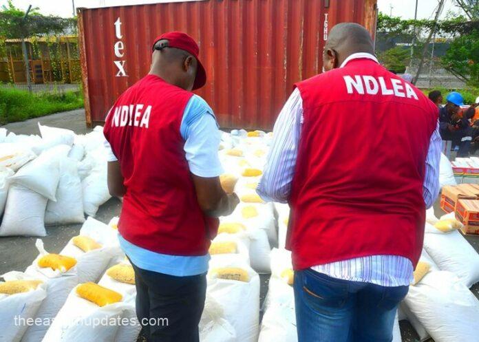 NDLEA Cracks Down On Kano Drug Hotspots, Arrests 22 Suspects