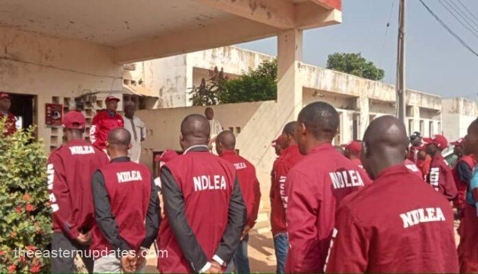 The Edo State Command of the National Drug Law Enforcement Agency, NDLEA, has read a riot to drugs barons in the state,