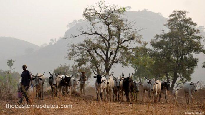 Tension In Makurdi As Angry Youths Chase Fulani Herders