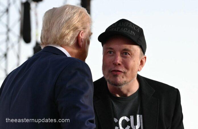 Trump-Musk Clash Triggers Bitcoin Drop, As $308m Is Wiped Out