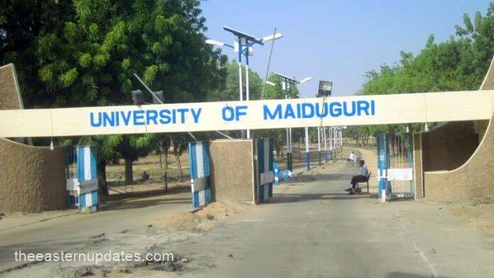Tinubu Renames Unimaid As Muhammadu Buhari University
