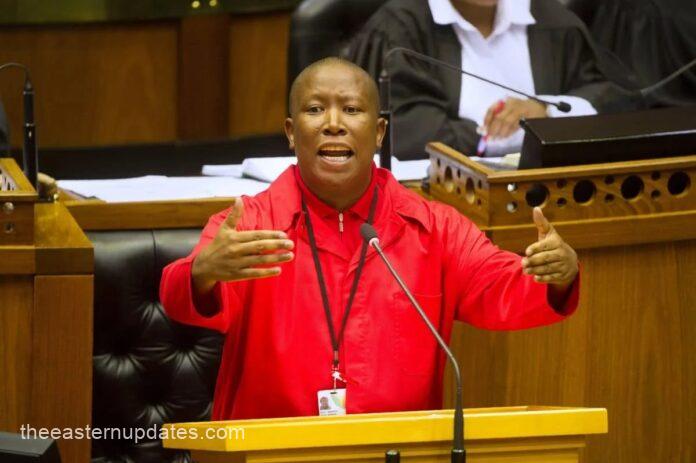 Malema Calls For Single African President, Currency And Military