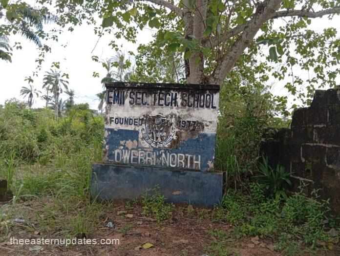 The Forsaken Blackboard: Emii Tech & The Politics Of Neglect