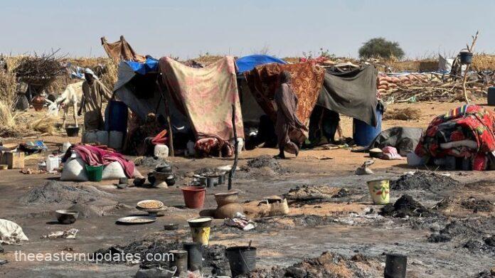 USA Sanctions RSF Commanders Over Genocide In Sudan