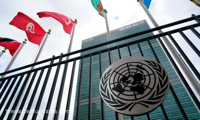 UN Labels Anti-Women Violence 'Global Emergency' Crisis