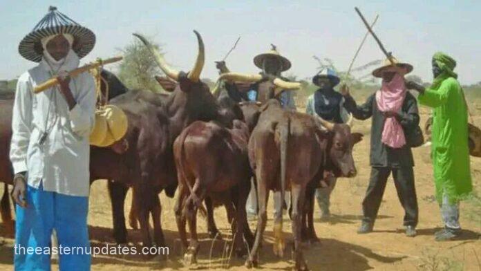 Three Herders Killed In Plateau State Road Ambush