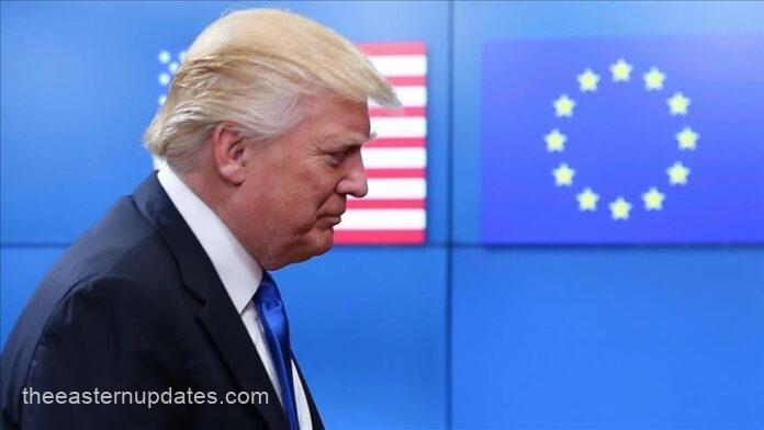 Trump Labels NATO ‘Paper Tiger,’ Restates Desire For Greenland