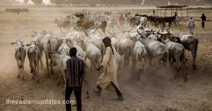 Benue Herder Attack On Cashew Farmers Kills At Least Six