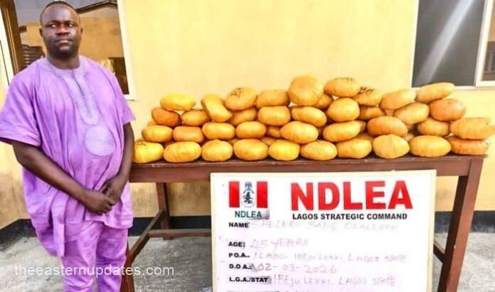 Ex-Councillor, IED Components Among NDLEA's Weekly Haul