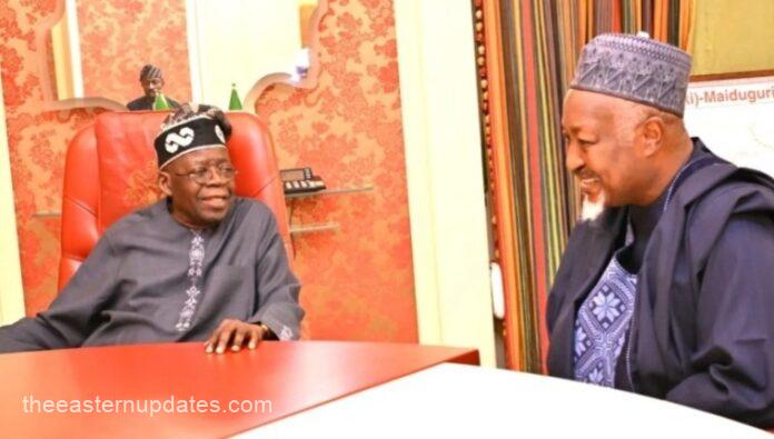Tinubu Holds Closed-Door Meetings With Ganduje, Badaru