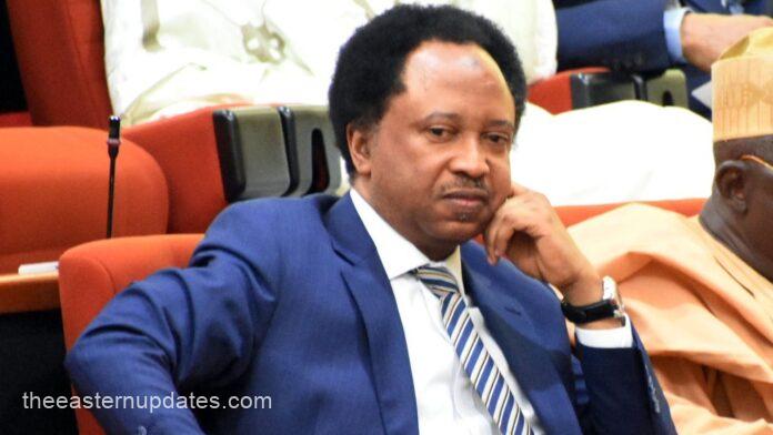 Shehu Sani Picks APC Nomination Form To Return To Senate