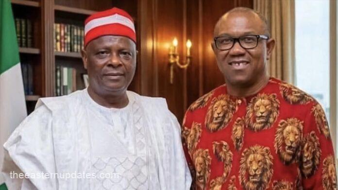 Kwankwaso Reveals Details Of Closed Door Meeting With Peter Obi