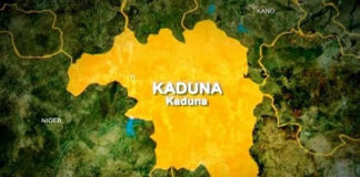 Kaduna Deploys 1,000 Forest Guards In War Against Banditry Kaduna Deploys 1,000 Forest Guards In War Against Banditry