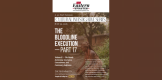 The Bloodline Execution — Part 17 The Bloodline Execution — Part 17