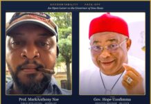 Nze To Uzodinma: Don’t Spend World Bank Cash On Lust Nze To Uzodinma: Don't Spend World Bank Cash On Lust