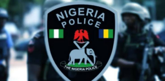 Ogun Police Nab 16 For Bunkering, Defilement, Vandalism Row Ogun Police Nab 16 For Bunkering, Defilement, Vandalism Row