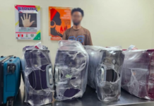 NDLEA Seizes ₦5bn In Drugs, Nabs Milan Suspect NDLEA drug seizure worth ₦5 billion and Milan-bound cocaine arrest